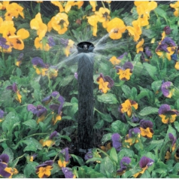 Versenkdüsen 4“ X 1/4“ für Mikro-Bewässerung - XERI-POP